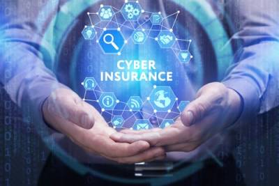 Chicago Cyber Insurance Dispute Mediation Professional
